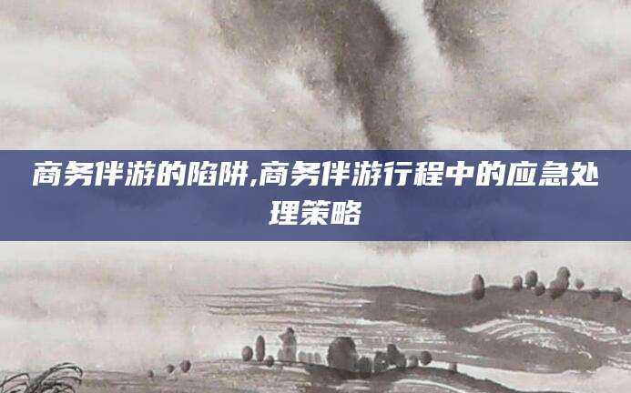 沂源商务伴游的陷阱,商务伴游行程中的应急处理策略